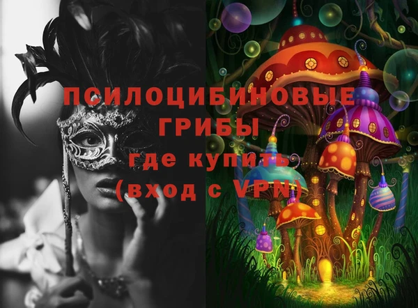 шишки Алексеевка