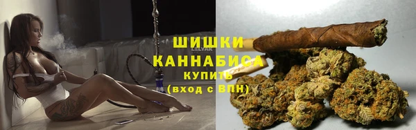 apvp Алексин