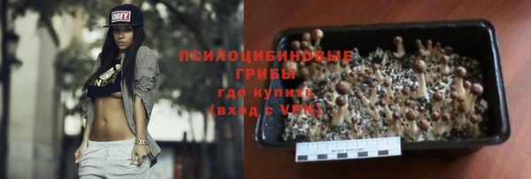 твердый Алзамай