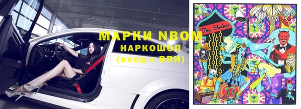 apvp Алексин
