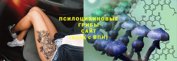твердый Алзамай