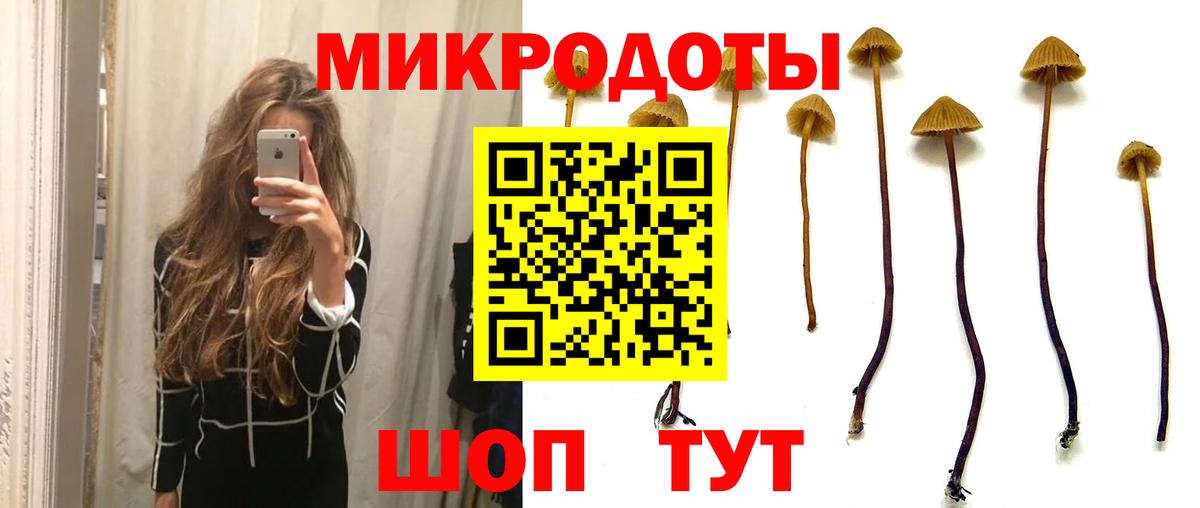 Геленджик  Псилоцибиновые грибы GOLDEN TEACHER  Псилоцибиновые грибы Magic Shrooms  Вход с VPN 